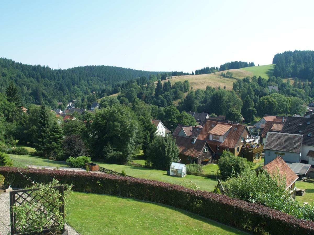 Appartamento Haus Reimann Altenau  Esterno foto